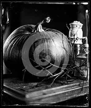 wet plate collodion vintage image of hisotrical process of photography texture