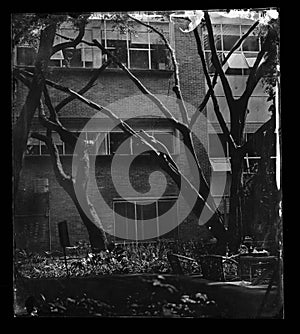 wet plate collodion vintage image of hisotrical process of photography texture