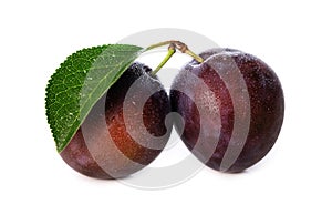 Wet purple plums with leaf isolated on white background