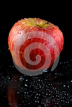 Wet red apple