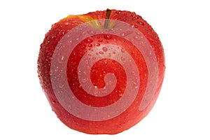 Wet red apple