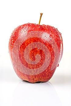 Wet red apple isolated on white