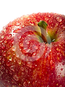 Wet red apple macro