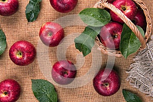 Wet red apples with green leaves in basket and on sacking material