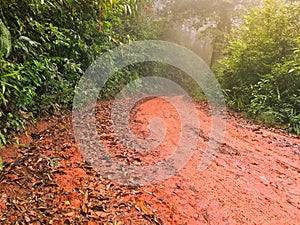 Wet red gravel path full of dried brown Autumn leaves leading to