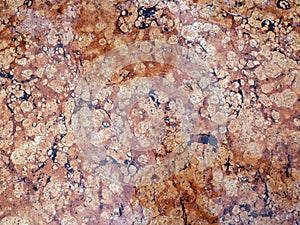 Wet red marble with pink spots and dark veins. Marble background