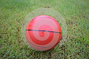 Toy basketball ball lying on the grass.