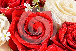 Wet Red And White Roses Bouquet