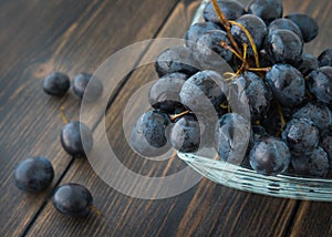 Wet ripe dark grapes - vine grape - in a glass bowl