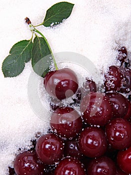 Wet ripe red cherries as background