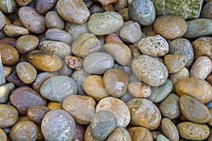 Wet river rocks close up