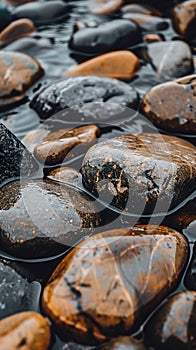 Wet river rocks in close up view