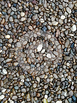 Wet river stones background