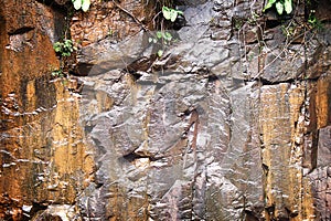 Wet Rock Texture