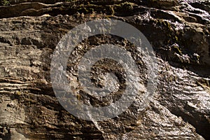 Wet Rock Wall Texture