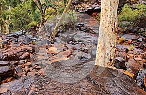 Wet Rocks, Kings Canyon, Northern Territory, Australia