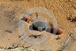 Wet Rocks on Sandy Shoreline of the St. Croix River