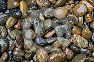 Wet Rocks