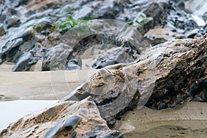 Wet rokcs and sand on low tide