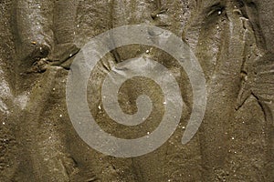 Wet sand background