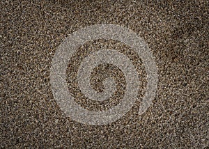 Wet sand nature texture background. top view