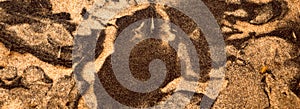 Wet sand patterns on the beach after a storm.  Abstract swirls and strange patterns are created by tide wind and rain