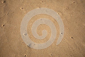 Wet Sand texture. Sandy ocean beach for background. Top view