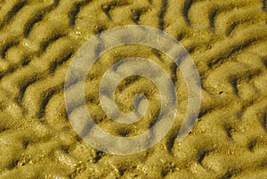 Wet sand wave pattern