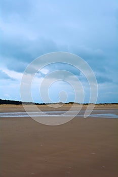 Wet sandy beach and forest in the distance, Northern Sea, Holkham beach, United Kingdom