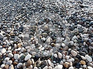 Wet sea pebbles background