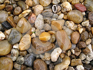 Wet sea pebbles background colors stones