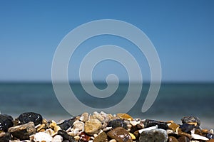 Wet sea pebbles on a summer beach