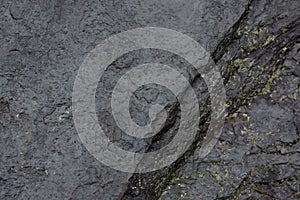 Wet Shale Abstract Texture Background