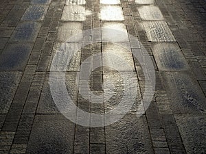 The wet, shiny stone pavement is laid in rows of rectangular tiles. The sidewalk moves forward in perspective.