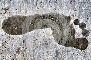 Wet single footprint on pavement - heel, arch and toes impression