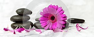 Wet spa stones and purple flower with petals on white marble background