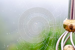 Dew drop on cobweb in the morning