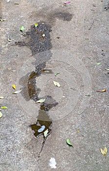 Wet spill on a grubby cement surface