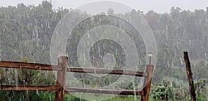 Wet Spring Snow in Southwestern Colorado Near Mesa Verde