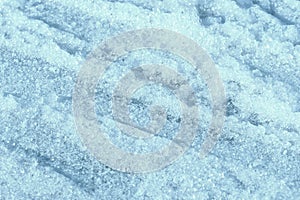 Wet spring snow texture close up. Natural abstract background blue color toned