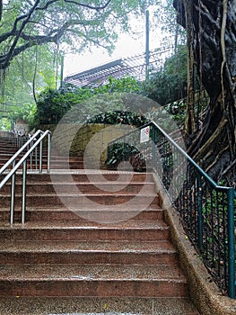 wet stairs to Kowloon park Hong Kong