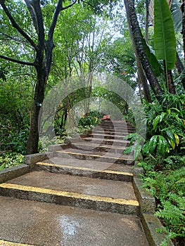 wet stairs to Kowloon park Hong Kong