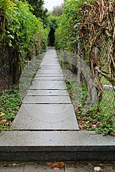 Wet Stone Garden Path