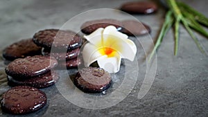 Wet stones balance, white plumeria on the grey background. Spa and relaxation concept