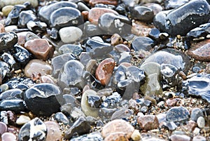 Wet stones at the beach