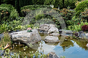 Wet stones in pond with water near green bushes