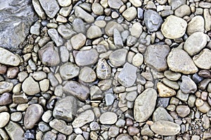 Wet stones in a river