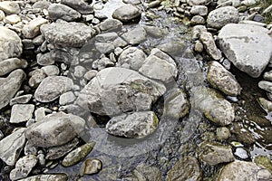 Wet stones in a river