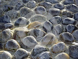Wet stones texture