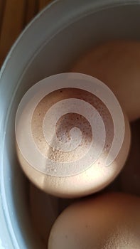 Wet surface of brown eggshell of boiled chicken eggs in sunlight and shadows